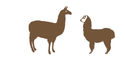 angela-vogt-lama-alpaka-logo-web